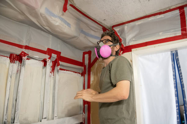 Professional Mold Removal in Lake Royale, NC